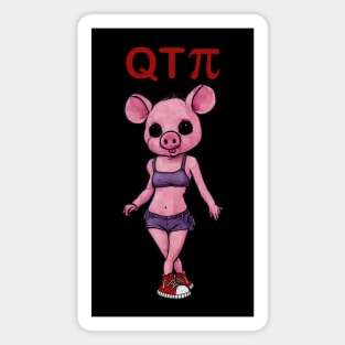 QTPi Magnet